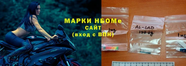 дживик Няндома