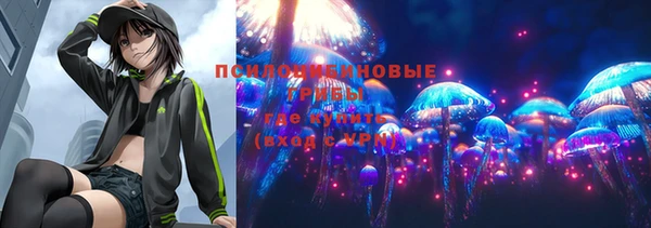 таблы Осташков