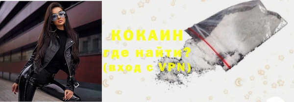 дживик Няндома