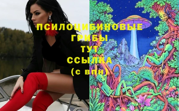 гидропоника Нязепетровск
