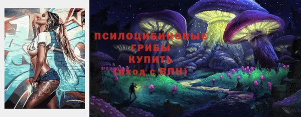таблы Осташков