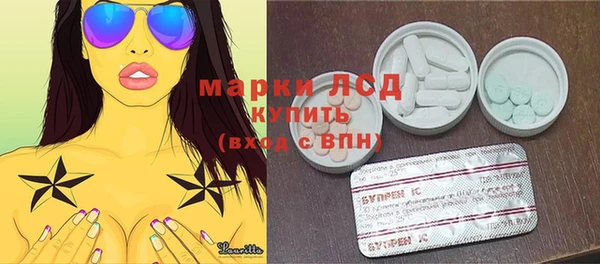 дживик Няндома