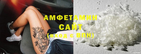 дживик Няндома