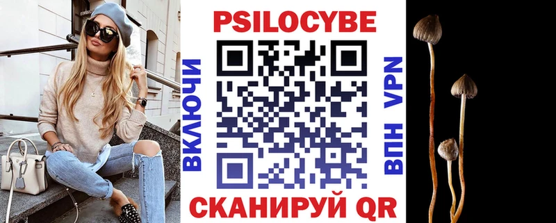 цены   Исилькуль  Псилоцибиновые грибы мицелий 